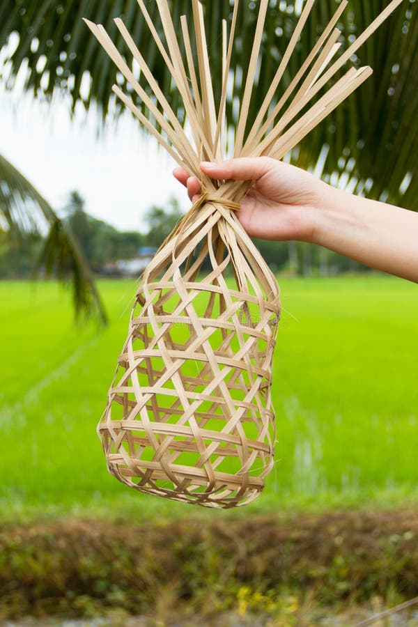 Round bamboo basket stock image. Image of basket, natural 38194731