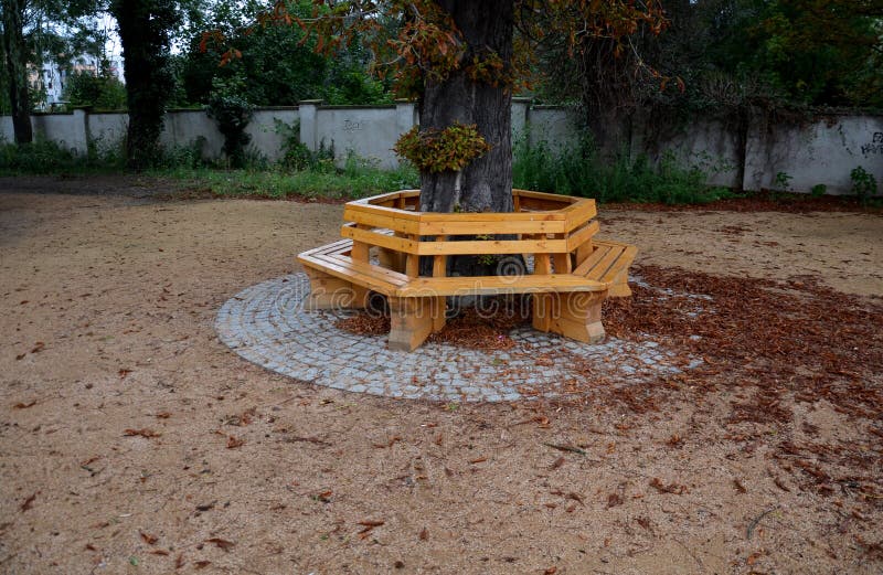 Round Bench Around a Tree Trunk Old Chestnut Tree Around a Bench