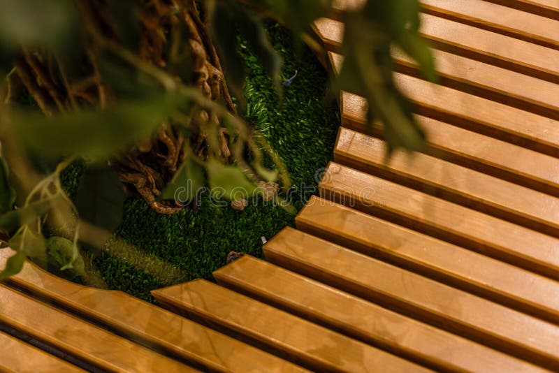 A round bench with a tree in the middle. royalty free stock images