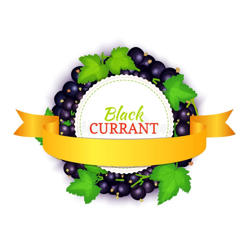 Round colored frame composed of black currant with gold ribbon. Vector card illustration. Fruit label. Circle currant vector illustration Round colored frame composed of black currant with gold ribbon. Vector card illustration. Fruit label. Circle currant vector illustration