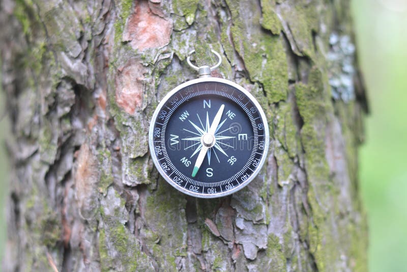 Round Compass On Natural Background Stock Photo Image of closeup