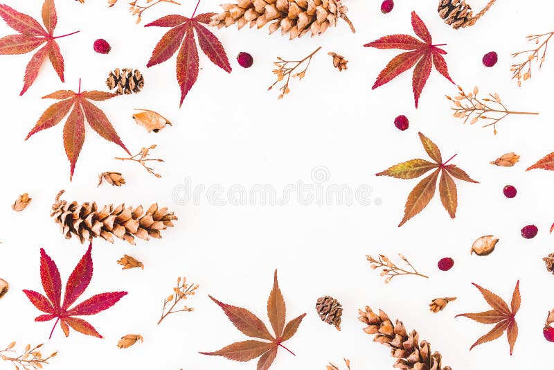 Round frame of autumn fall leaves, dried flowers and cones on white background. Flat lay, top view. Autumn concept