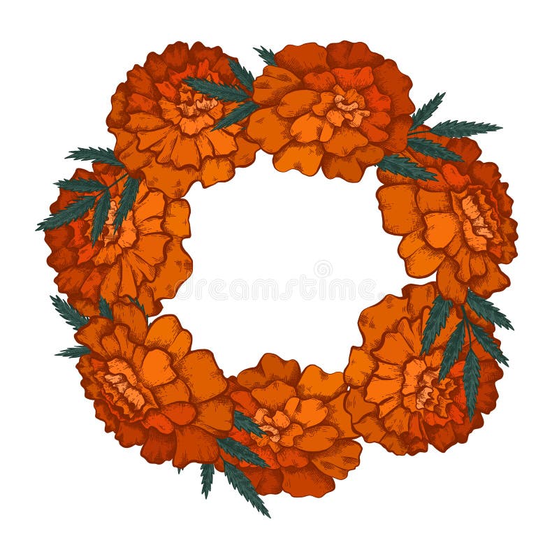 Round Frame with Colorful Sketch of Marigolds and Copy Space. Invitation  Cards with Garland of Flowerhead Stock Vector - Illustration of drawn,  banner: 221266419