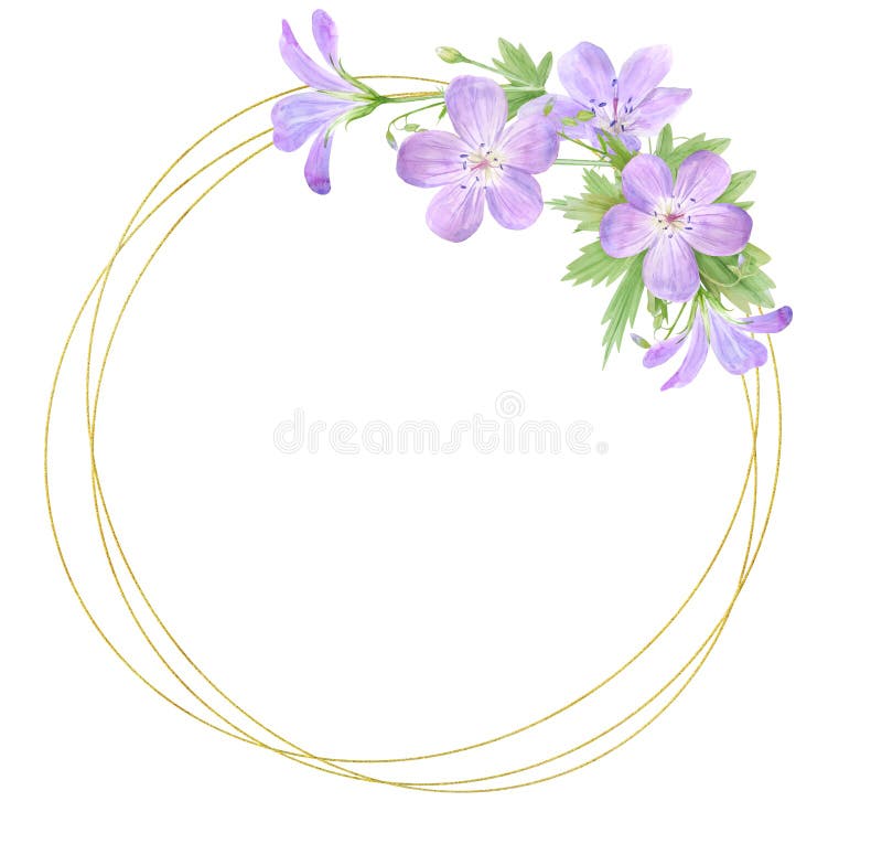 Round frame of lilac watercolor geranium flowers isolated on white background. Perfect for logo, design, cosmetics