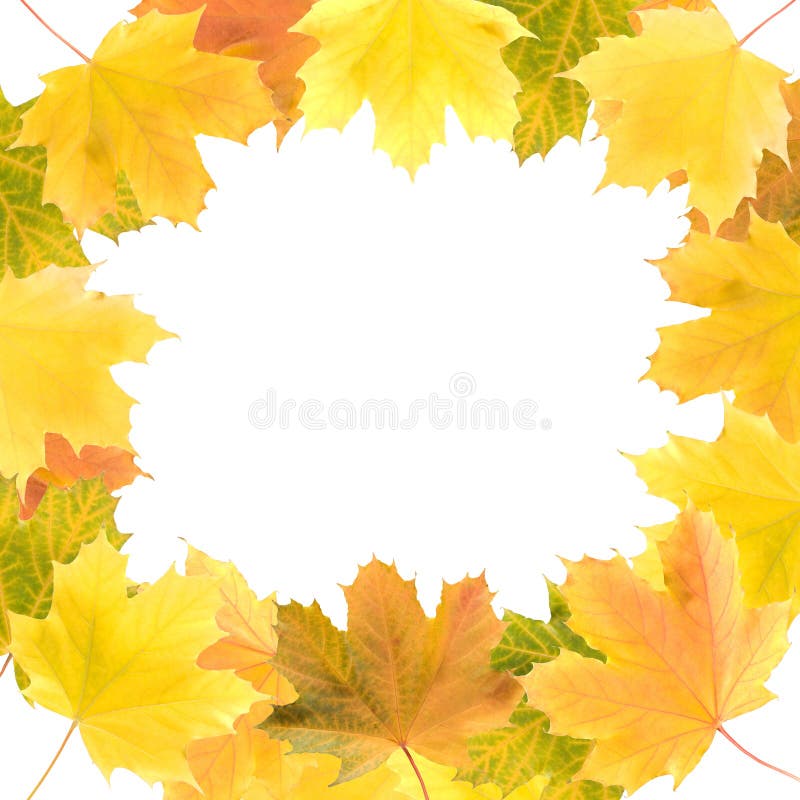 Round frame of maple leaves