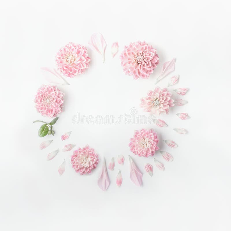 Round frame of pastel pink flowers and petals on white desk background. Floral wreath. Layout for holidays greeting stock images Round frame of pastel pink flowers and petals on white desk background. Floral wreath. Layout for holidays greeting stock images
