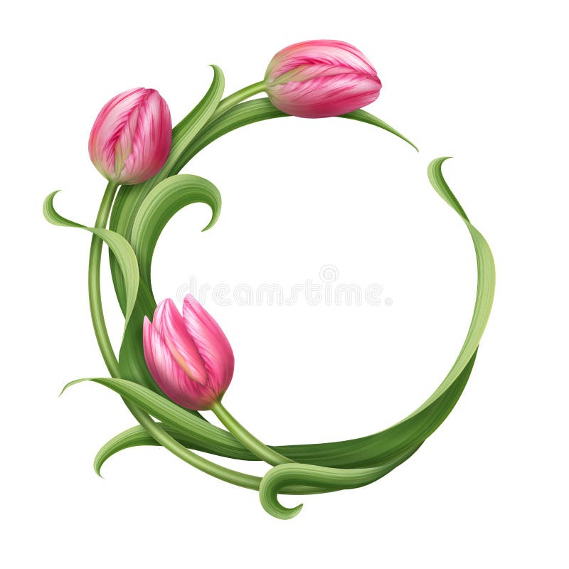 Round frame with pink tulips illustration vector illustration