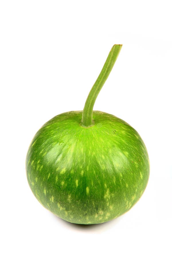 Round gourd stock image. Image of fresh, nutritious, round 16107467