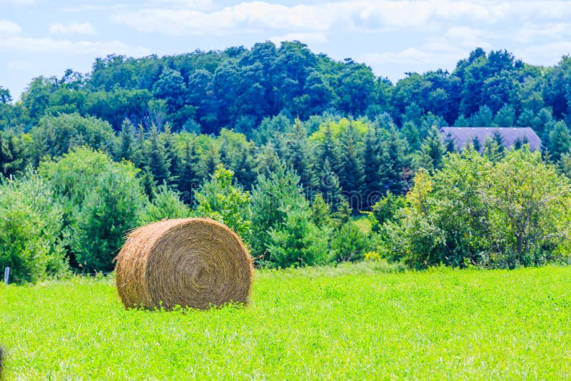 Round Hay Bales on the Green Field Stock Image Image of agriculture