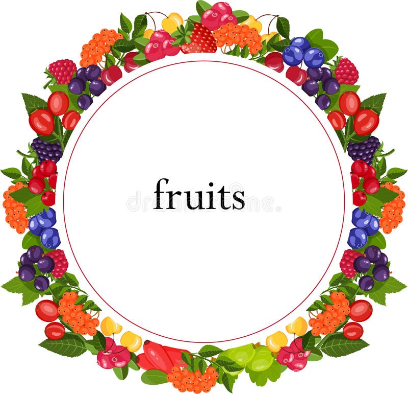 Round Shape Berry Fruit Flyer with White Background. Stock Vector Illustration of food