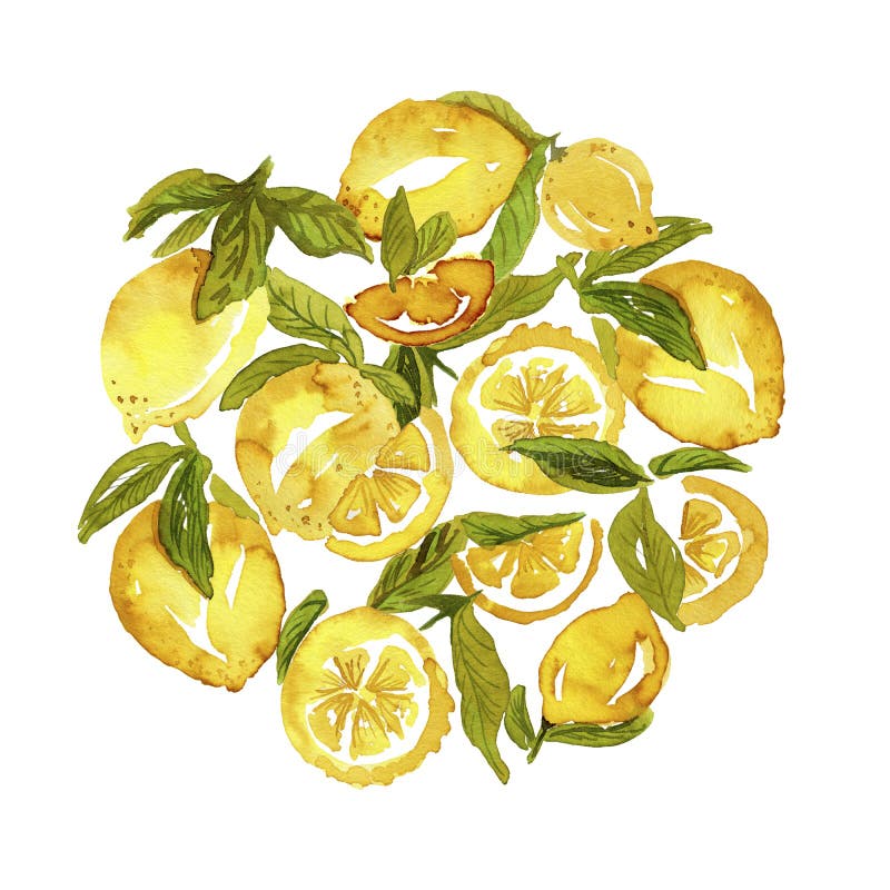 Round shaped lemon set stock illustration. Illustration of form - 135879377