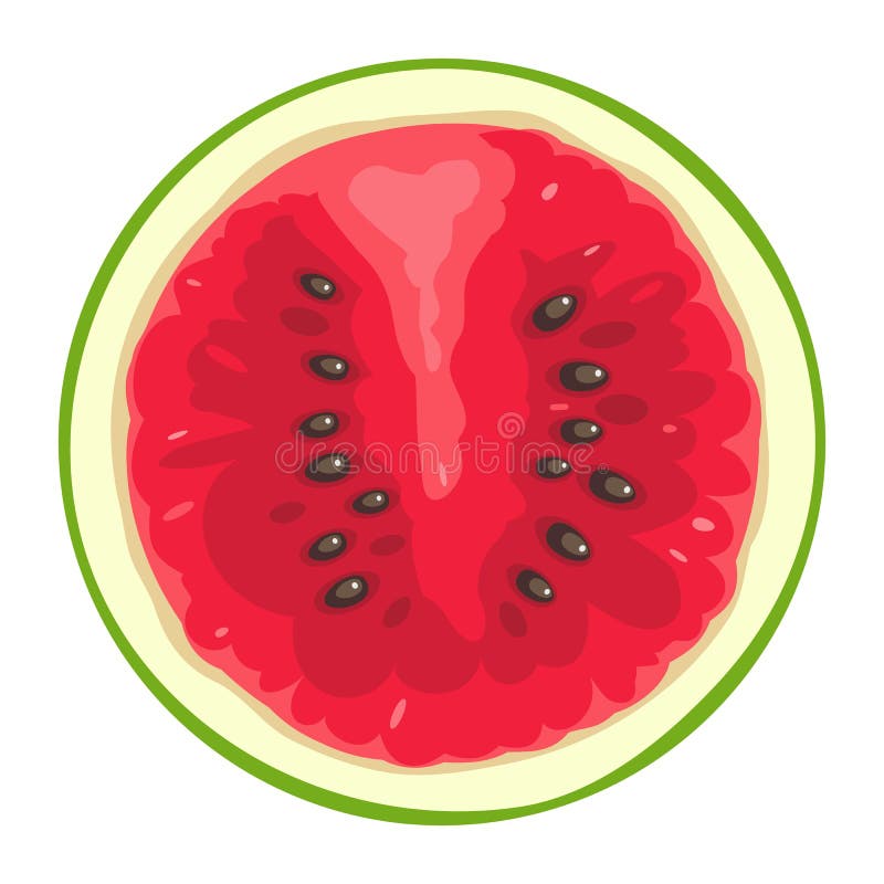 Round slice of watermelon on white background. Flat color illustration