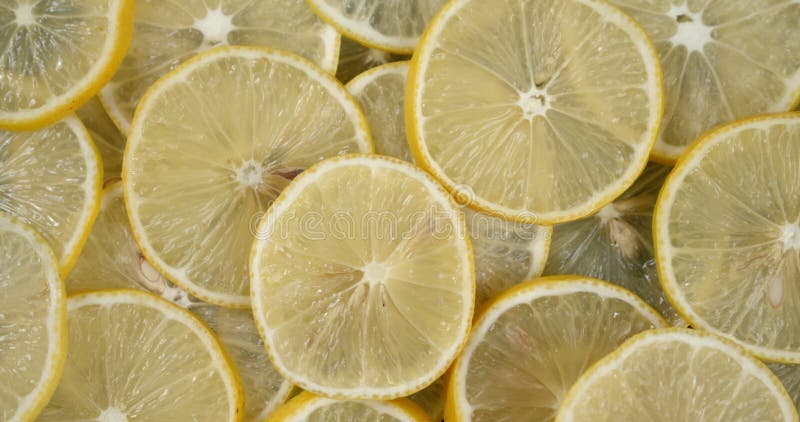 Round slices of juicy lemon slowly rotate. stock video
