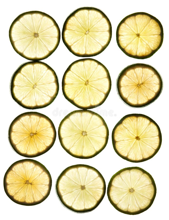 Round slices lime stock image. Image of juice, fresh - 20504973