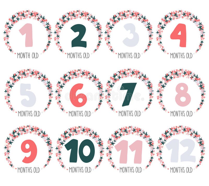 Baby Months Milestone with Text Numbers and Pink Flowers for a Newborn ...