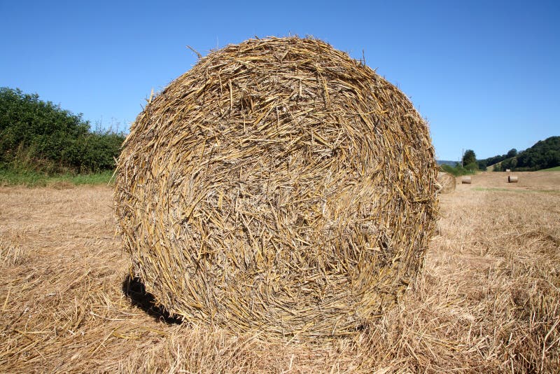 Round straw bale in a field.