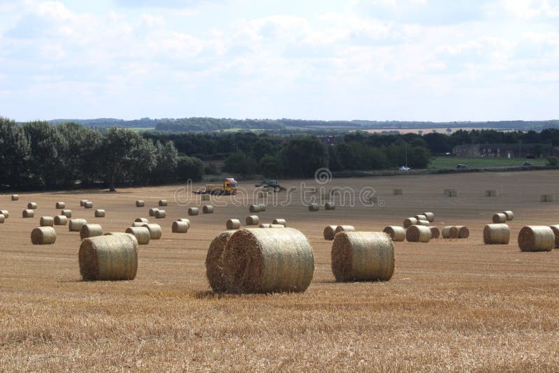 Hay Bales In A Field With Trees And Meadows In Yorkshire Uk Stock Photo Image Of Farm Habitation