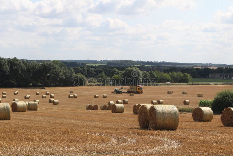 Hay Bales In A Field With Trees And Meadows In Yorkshire Uk Stock Photo Image Of Farm Habitation