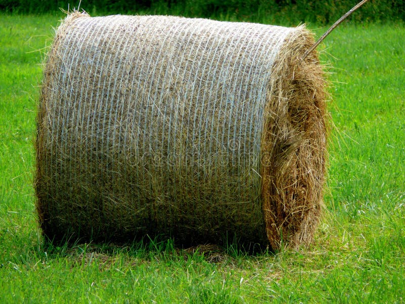 A round teff bale