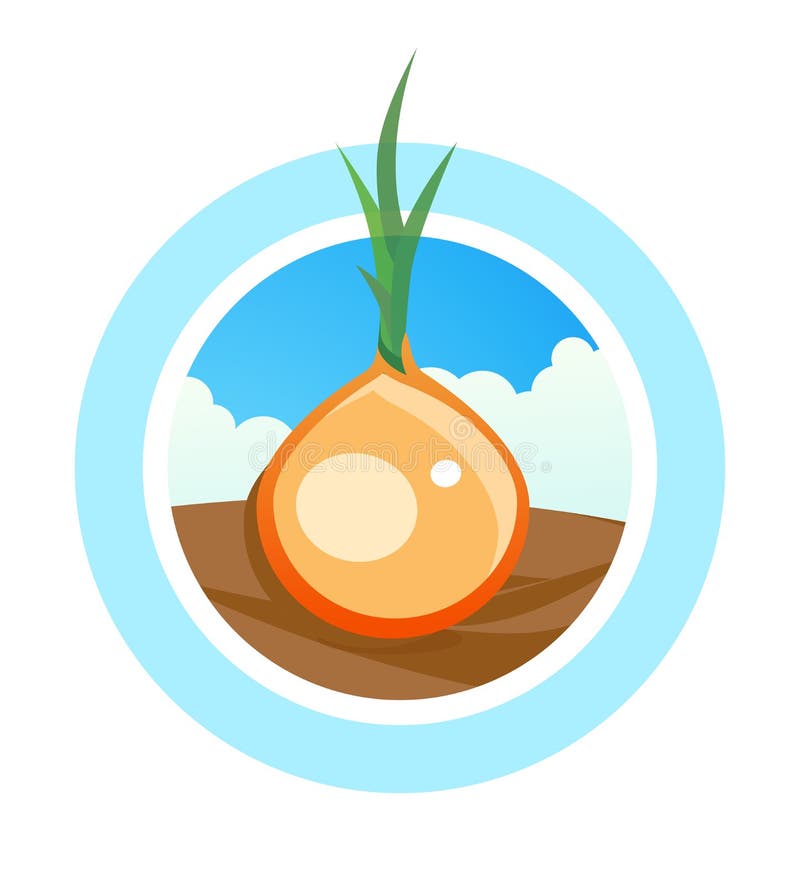 Round vector Logo for onion tradeing - Colorful symbol with vegetable on field