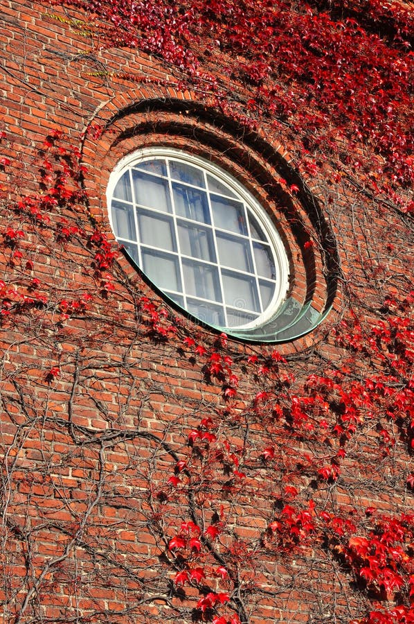 Round Window Stock Image Image Of Round Wall Autumn 21640055