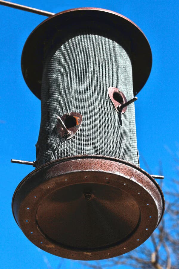Round Wire Mesh and Metal Bird Feeder with Small Perches Stock Image Image of feeding, bird