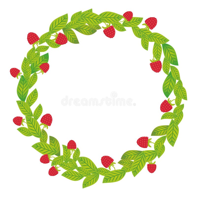 Round wreath with green leaves and raspberries Fresh juicy berries isolated on white background. Vector stock illustration Round wreath with green leaves and raspberries Fresh juicy berries isolated on white background. Vector stock illustration