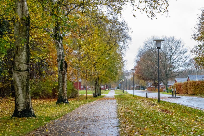 Route d'Autumn Danish en novembre à Viborg, Danemark images libres de droits Route d'Autumn Danish en novembre à Viborg, Danemark images libres de droits