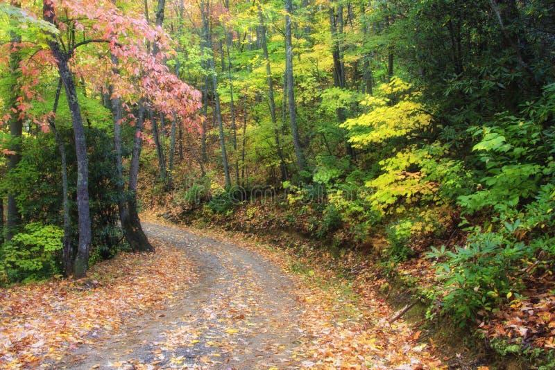 Route de campagne d'automne