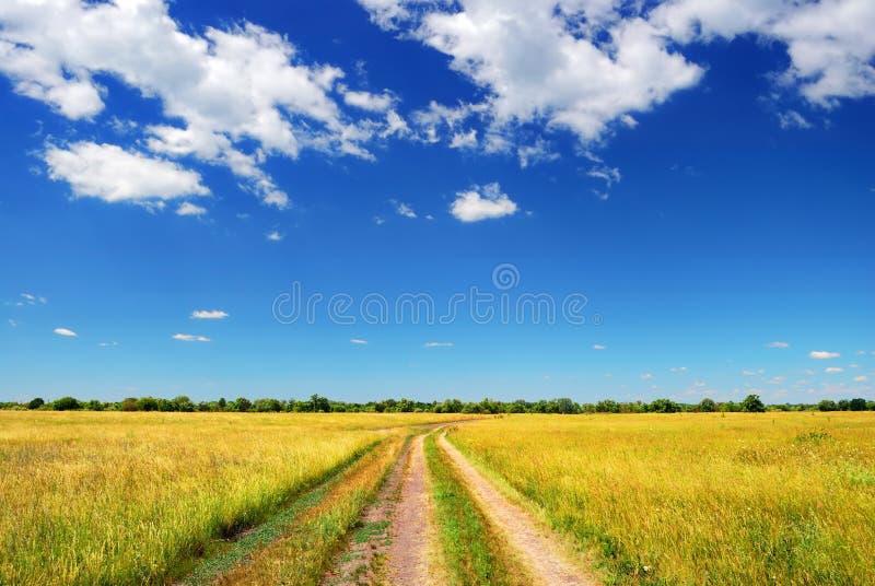 Route de campagne en zone d'été images stock Route de campagne en zone d'été images stock