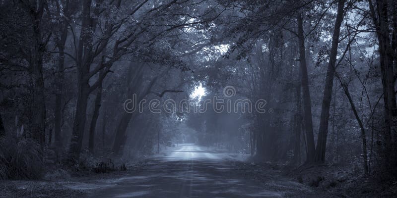 Route de clair de lune photo libre de droits Route de clair de lune photo libre de droits