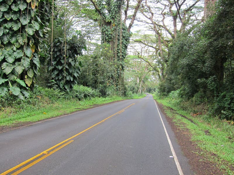 Route de jungle d'Hawaï photos libres de droits Route de jungle d'Hawaï photos libres de droits
