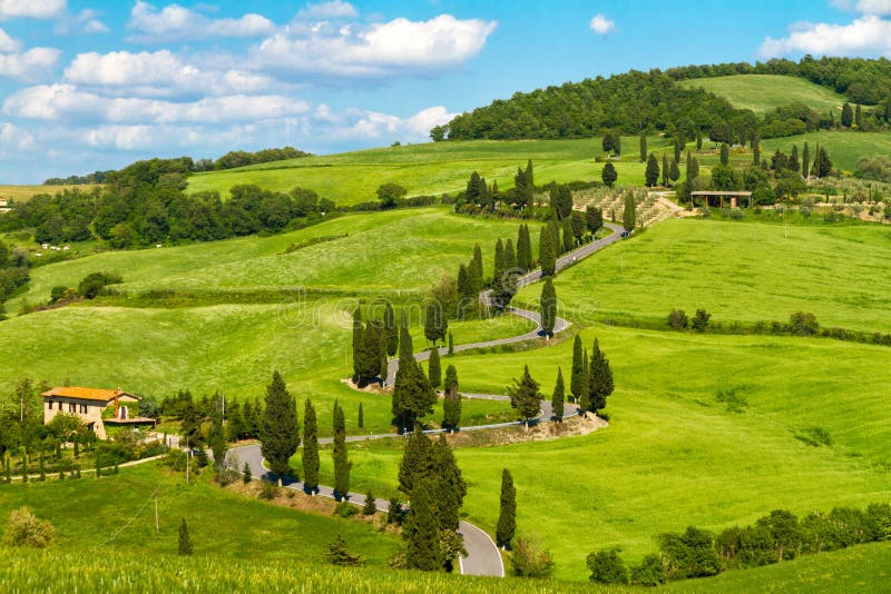 Route de la Toscane avec des arbres de cyprès, d'Orcia de Val, Italie