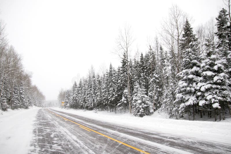 Snowy road with fir tress full of snow all along the road. Snowy road with fir tress full of snow all along the road