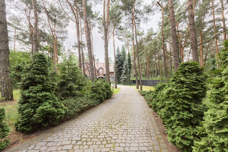 Route de pavé rond dans les bois menant à une vieille maison Vrai phot images libres de droits Route de pavé rond dans les bois menant à une vieille maison Vrai phot images libres de droits