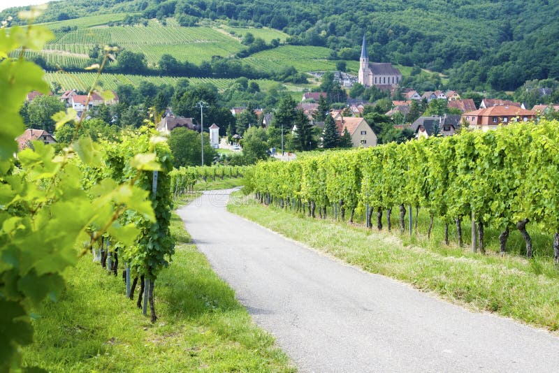 Route de wine