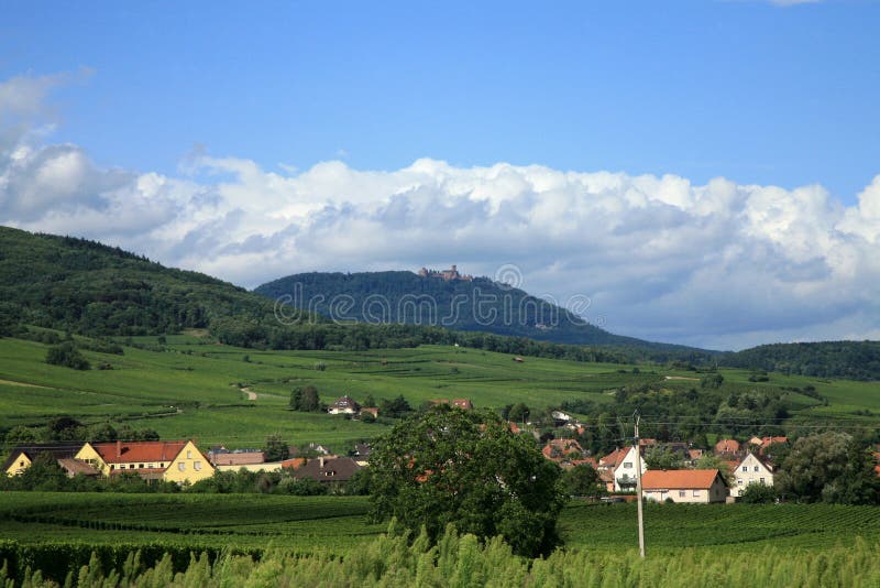 Route des vines in Alsace - France