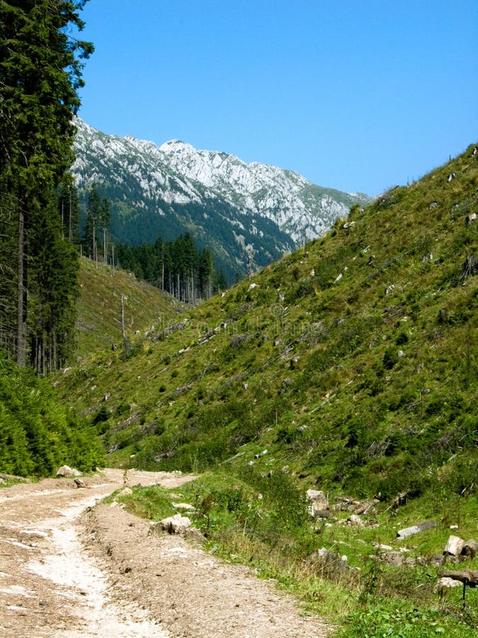 Unpaved road in Piatra Craiului mountains (Romania). Unpaved road in Piatra Craiului mountains (Romania)