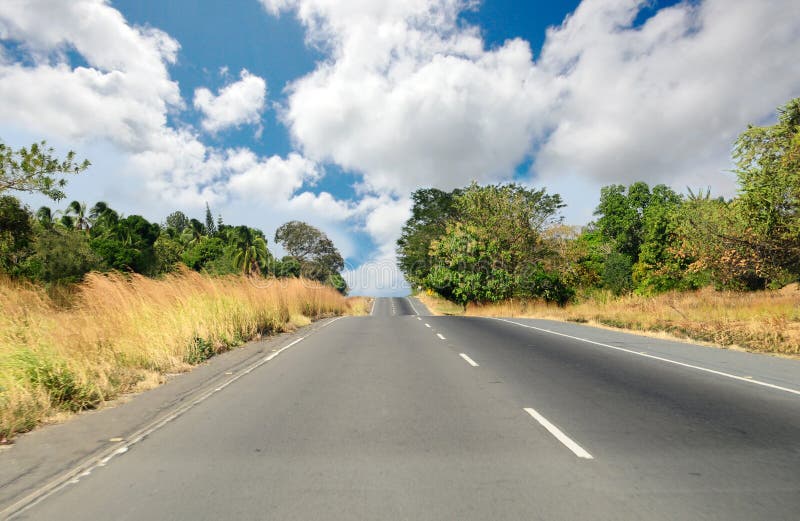 Stretch of highway in the middle of the rain forest with blue sky and clouds. Stretch of highway in the middle of the rain forest with blue sky and clouds