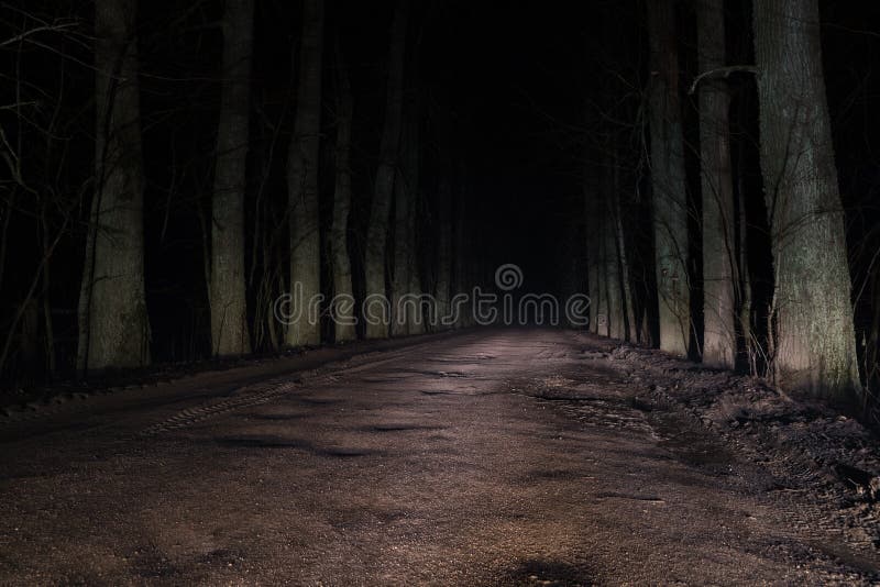 Route Mysterieuse Terrible Par La Foret La Nuit Photo Stock Image Du Imagination Fonte Route Mysterieuse Terrible Par La Foret La Nuit Photo Stock Image Du Imagination Fonte