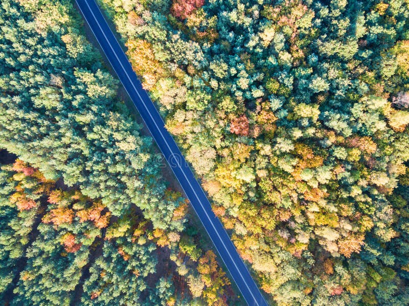 Route par la forêt colorée d'automne photo libre de droits Route par la forêt colorée d'automne photo libre de droits