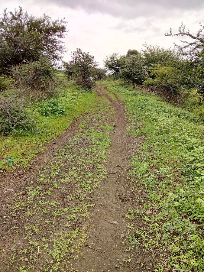 Route rurale photo stock