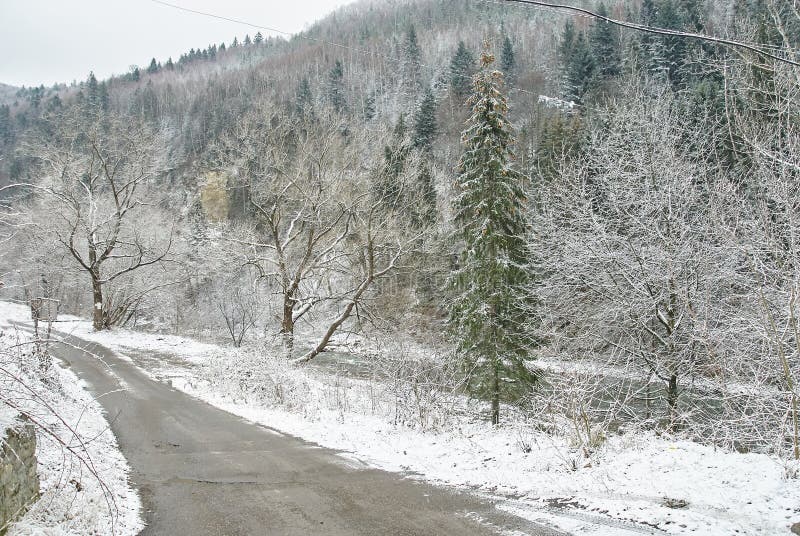Route rurale de l'hiver photographie stock libre de droits Route rurale de l'hiver photographie stock libre de droits