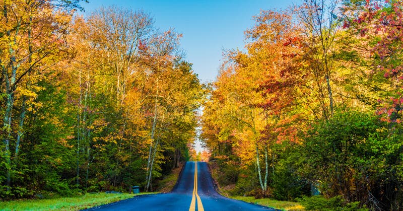 Route rurale par le feuillage d'automne images stock Route rurale par le feuillage d'automne images stock