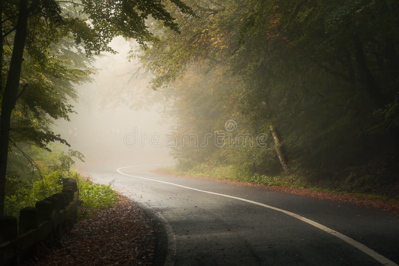 Route tortueuse à travers une belle forêt dans les montagnes à l'automne par une journée de brouillard images stock Route tortueuse à travers une belle forêt dans les montagnes à l'automne par une journée de brouillard images stock