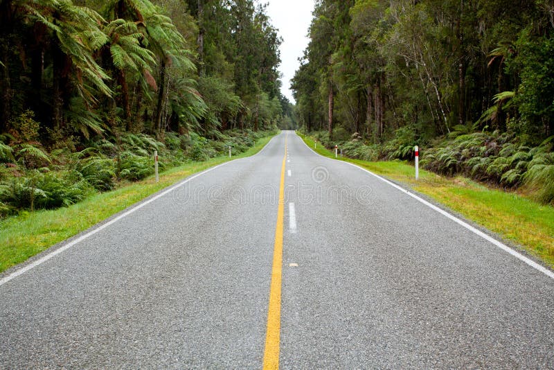 Empty road stretching out into the distance in New Zealand Forest. Empty road stretching out into the distance in New Zealand Forest