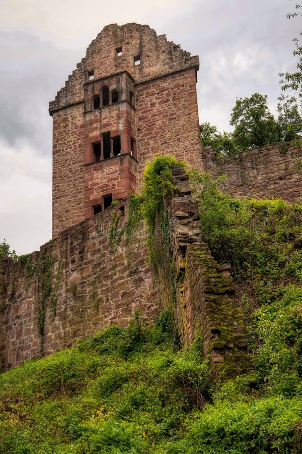 Rovina Minneburg del castello lungo la traccia di escursione interurbana Neckarsteig immagine stock Rovina Minneburg del castello lungo la traccia di escursione interurbana Neckarsteig immagine stock