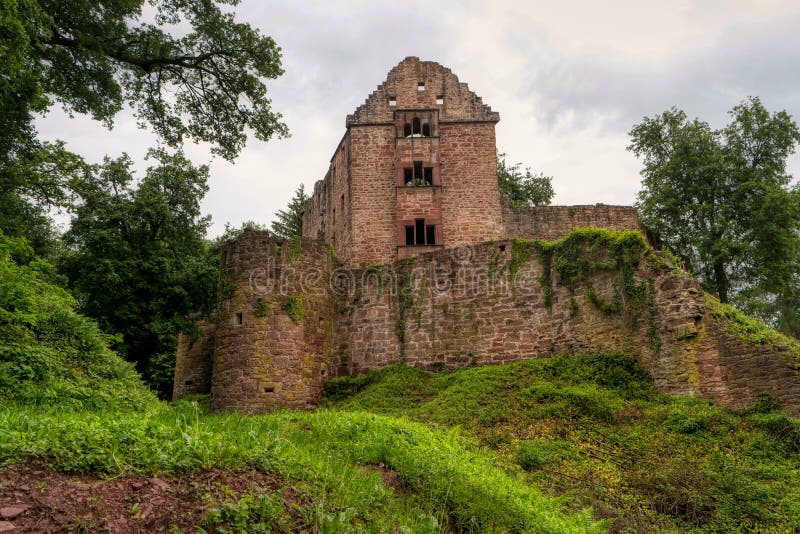 Rovina Minneburg del castello lungo la traccia di escursione interurbana Neckarsteig fotografie stock Rovina Minneburg del castello lungo la traccia di escursione interurbana Neckarsteig fotografie stock
