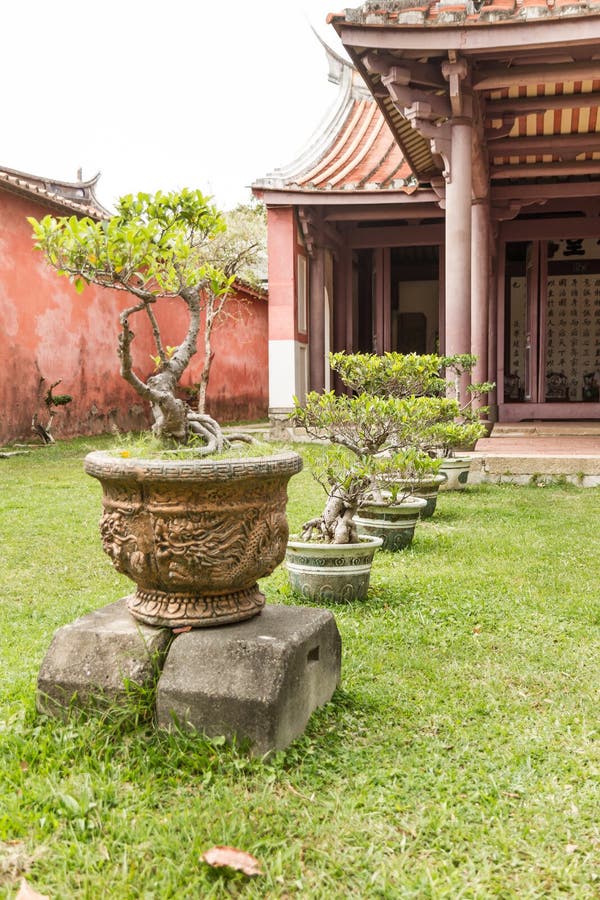 Row Of Bonsai Trees Outside Temple Stock Image Image of hongkong