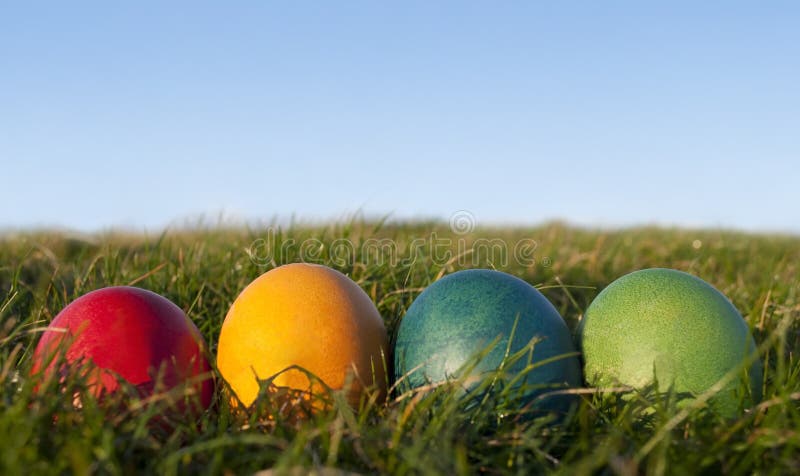 Row of Colored Easter Eggs on Grass with Blue sky